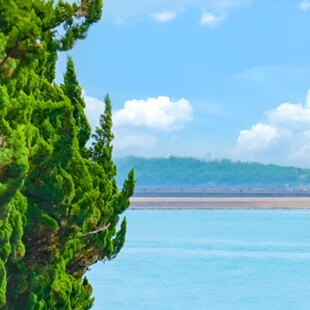 D5天4晚青岛市私家团御华大酒店蓬莱阁专属用车一次被宠坏的旅行