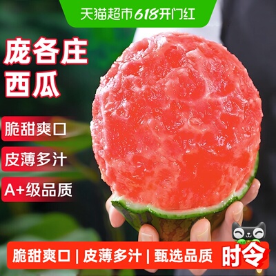 京运达大兴庞各庄小西瓜当季