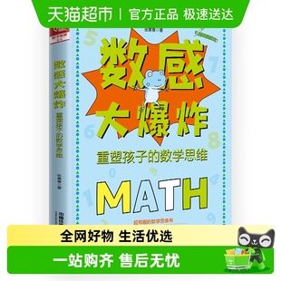 书籍 正版 数感大爆炸：重塑孩子 数学思维