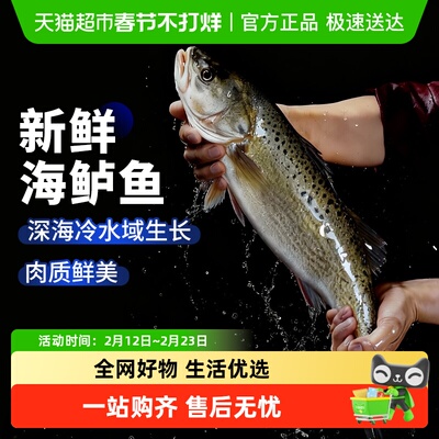 云储生活野生特大海鲈鱼新鲜冷冻