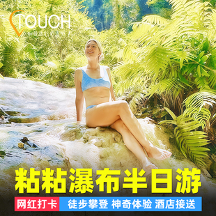 【网红打卡】清迈粘粘瀑布半日游雨树大象咖啡粑粑纸公园老虎王国