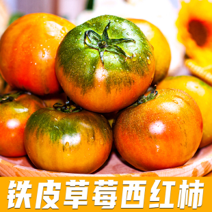 正宗铁皮柿子盐碱地铁皮西红柿绿腚草莓柿子新鲜水果番茄现摘现发