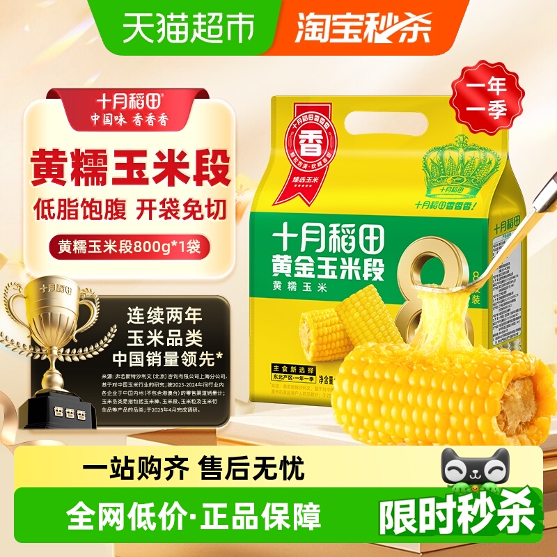 十月稻田东北糯玉米段