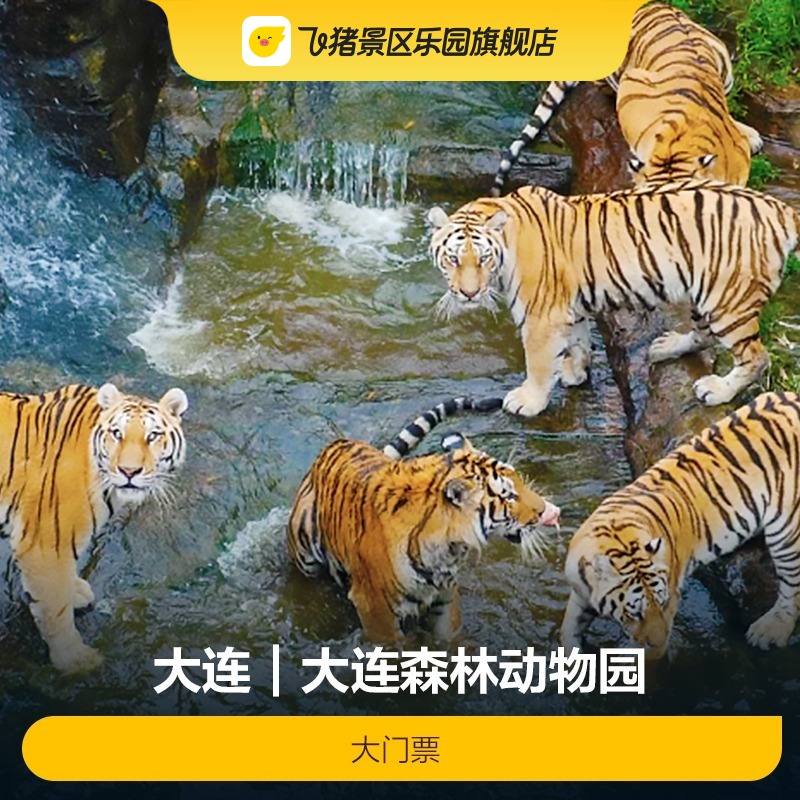 [大连森林动物园-大门票]大连森林动物