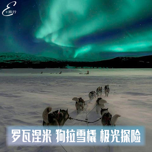 芬兰旅行 罗瓦涅米驯鹿/狗拉雪橇品质探险拉普兰森林极光之旅旅游
