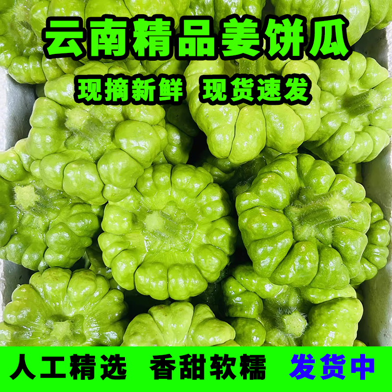 速发云南小麦瓜姜柄瓜姜饼瓜云南小瓜迷你嫩南瓜甜瓜小绿瓜