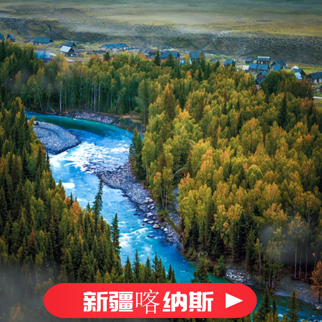 H新疆喀纳斯7