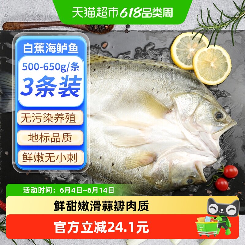 钓鱼记白蕉海鲈鱼500g*3条三去开背新鲜冷冻真空烤鱼半成品