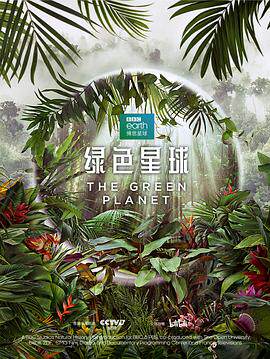 绿色星球2022
