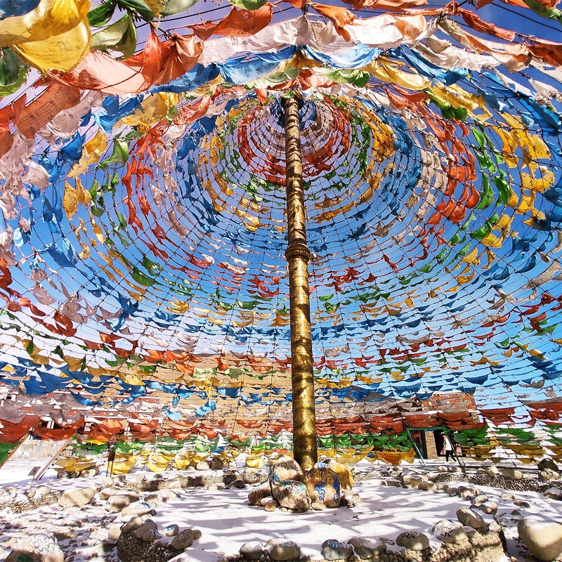 青海湖日月山拉脊山一日游