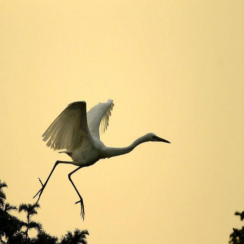 [天香园-大门票]江西南昌天香园 门票