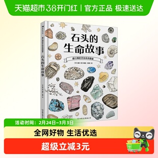 石头的生命故事 精装石头探险生命遗产制造工具生活历史科普百科