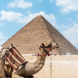 经典热卖大团·埃及开罗12天11晚半自助游风帆船骑骆驼马车巡游