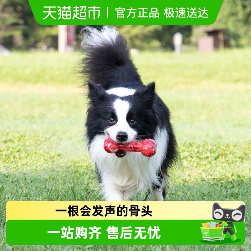 贵为发声磨牙骨头狗狗玩具