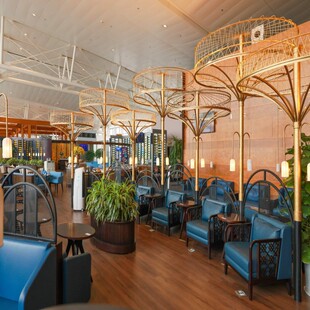 越南岘港国际机场 （DAD）Orchid Lounge贵宾室体验113258