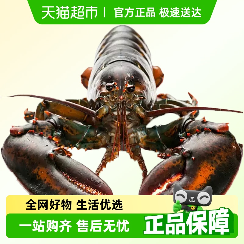 渔传播包活到家活发大波龙顺丰