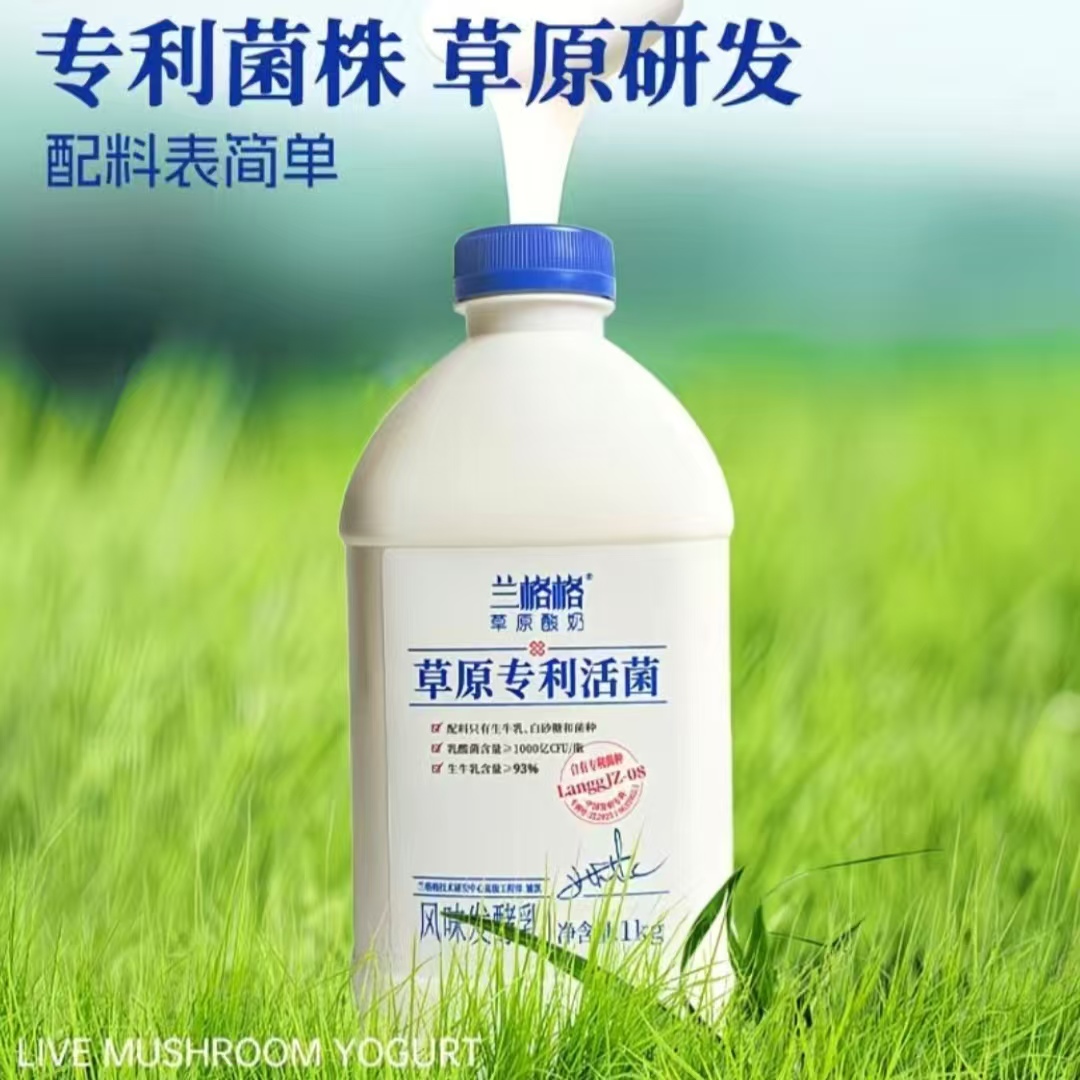 兰格格草原活菌酸奶1kg/瓶大桶发酵益生菌专利酸奶家庭装