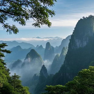 小团·接送站【郴州莽山3天2晚】莽山五指峰+雾漫东江湖+高椅岭