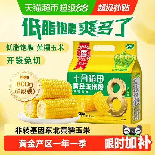 十月稻田东北黄糯玉米低脂软糯