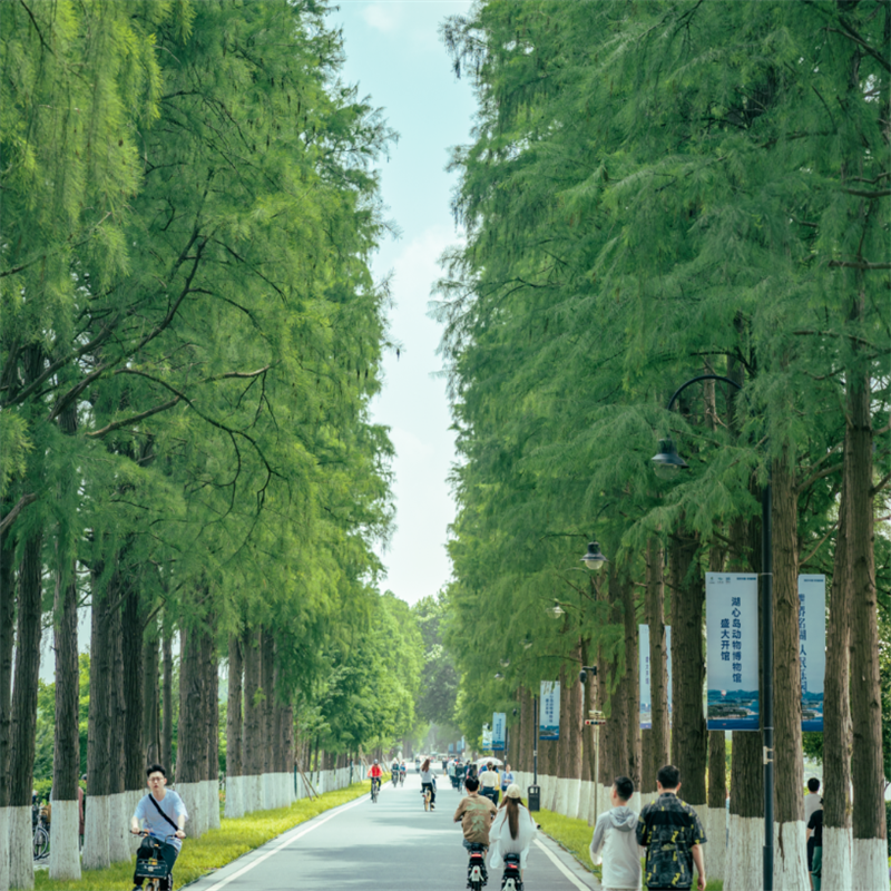 【灵秀湖北】武汉黄鹤楼 省博 宜昌船过葛洲坝4日·升一晚准5酒店