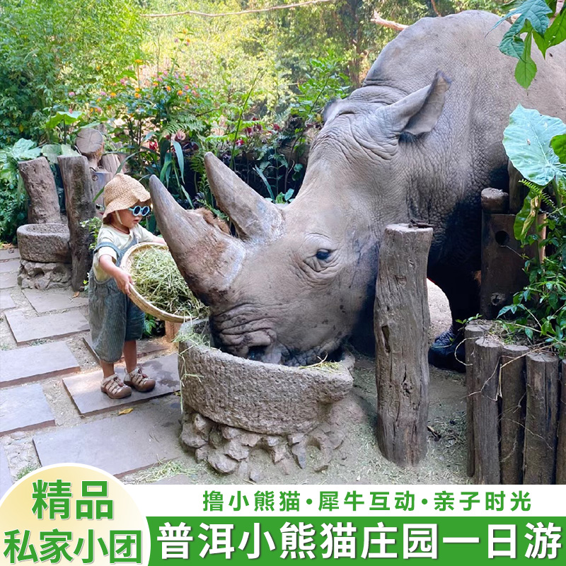 西双版纳普洱小熊猫庄园 普洱国家森林公园+小凹子咖啡庄园一日游