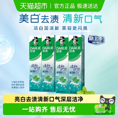 DARLIE好来清新双效牙膏清新口气