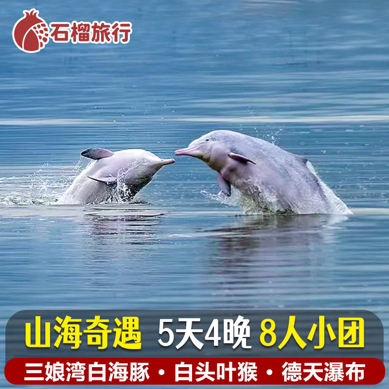 广西南宁德天瀑布三娘湾海豚5天纯玩小团