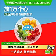 一颗大多彩缤纷樱桃番茄精品三拼400g*2盒