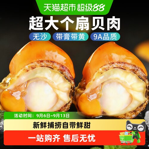 顺丰上门特大扇贝肉新鲜无沙