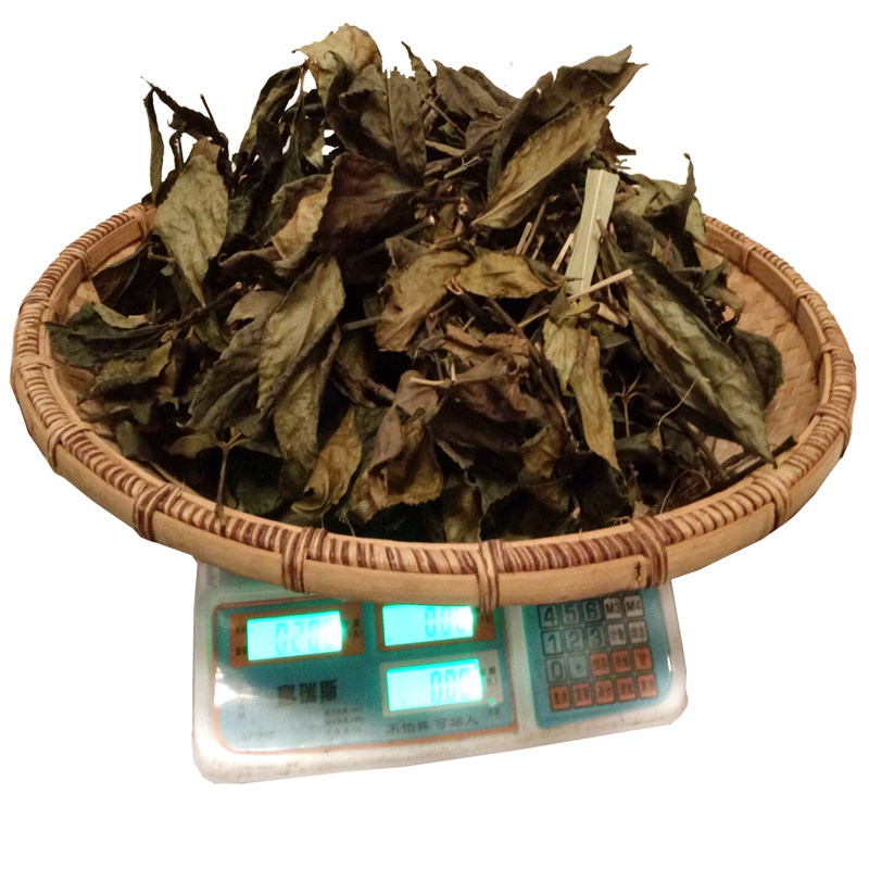 贵州山林接骨茶干货200克包邮