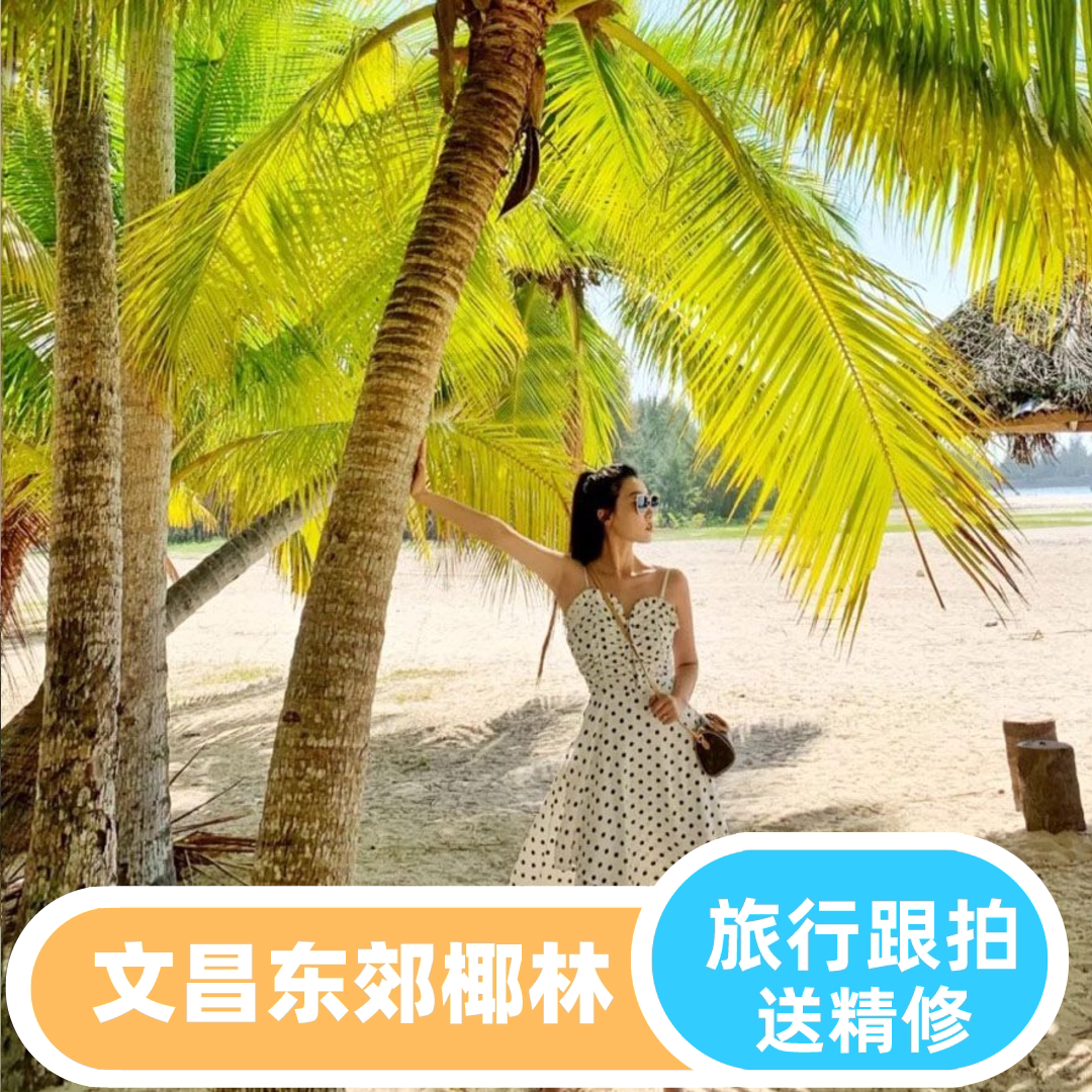 文昌【东郊椰林】【全精修】摄影师生日亲子跟拍情侣全家福小视频