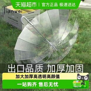 天玮16骨透明雨伞长柄伞大号双人女白色网红高颜值氛围感雨伞加大