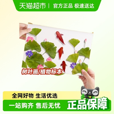 ★极速送达★创意树叶粘贴画材料