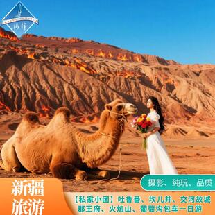 吐鲁番小车一日游 火焰山 坎儿井 葡萄沟 交河故城 郡王府包车游