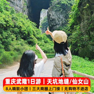 2-8人武隆小团天坑地缝仙女山解放碑重庆一日游纯玩跟团游门票