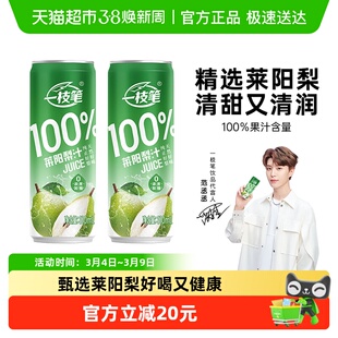 一枝笔范丞丞同款100%莱阳梨汁310ml*8罐纯梨汁网红果汁饮品