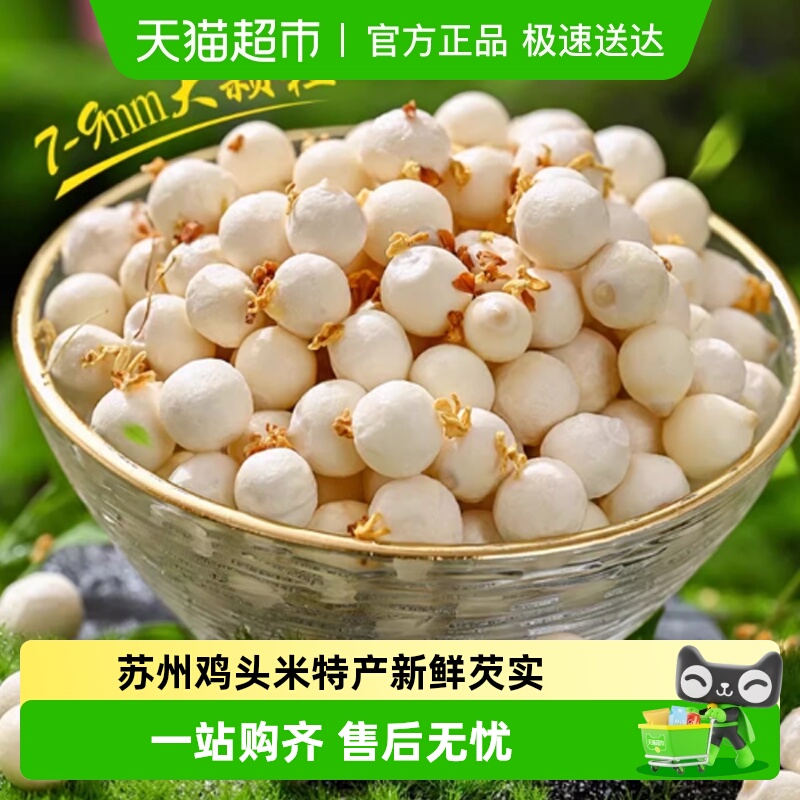 苏州鸡头米大颗粒特产新鲜当季芡实非干货农家自产去皮特级新鲜