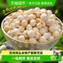 苏州鸡头米大颗粒特产新鲜当季 芡实非干货农家自产去皮特级新鲜