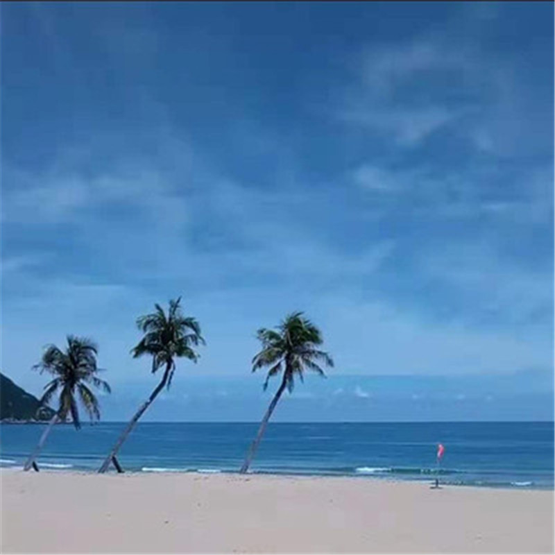 [呆呆岛-门票(含往返轮渡+往返观光车)]呆呆岛门票