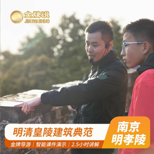 金牌说 明孝陵讲解2.5H金牌导游门票12人小团大咖解说亲子趣讲
