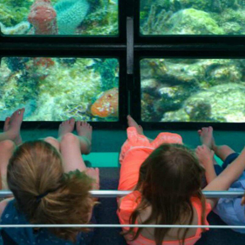 美国佛罗里达基韦斯特岛游覧（乘坐玻璃底船）87415