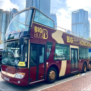 Bus香港观光巴士游 Big 日游 夜游 打卡香港地标