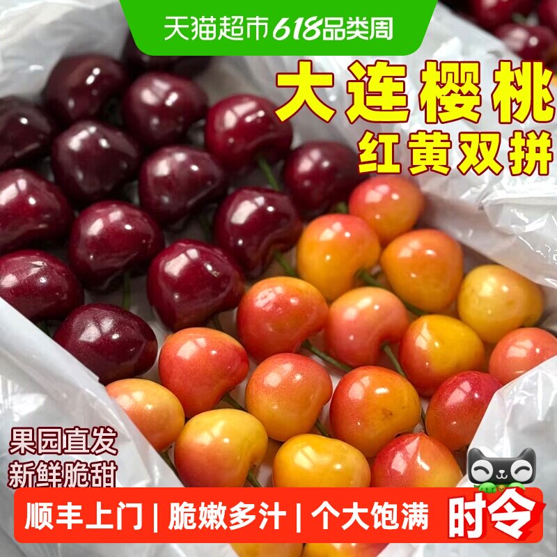 【产地直发】大连大樱桃美早佳红黄樱桃双拼新鲜应季水果国产现摘