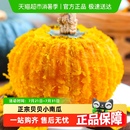 顺丰发货贝贝南瓜正宗板栗味小南瓜新鲜宝宝辅食婴儿孕妇粉糯老瓜