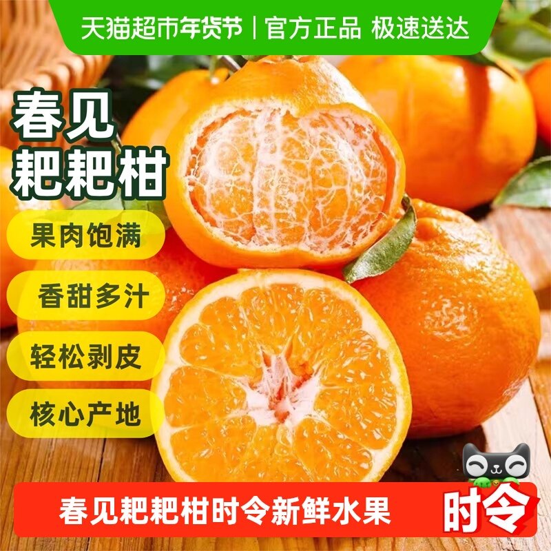 四川春见耙耙柑时令应季新鲜水果现摘柑橘四川蒲江耙耙柑现摘橘子,水产肉类/新鲜蔬果/熟食,桔子,淘宝优惠券,粉丝福利购,淘宝优惠卷