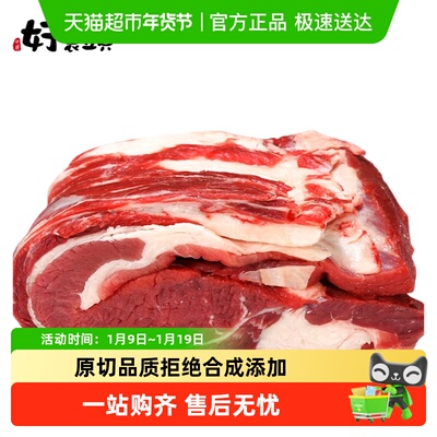 好袁头新鲜内蒙生牛肉牛腩肉