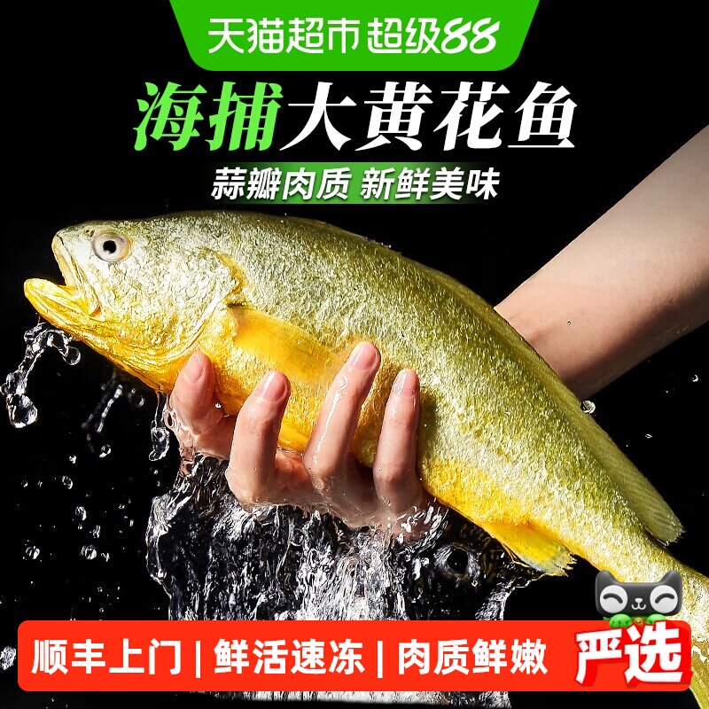 深海黄花鱼新鲜急冻图片