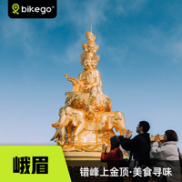 樂山大佛2天純玩小團