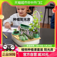 科学罐头阳光房种植儿童植物生长观察盒steam实验玩具六一礼物1盒