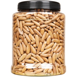 当季新货特大巴西松子净重500克罐装原味手剥松籽小包装坚果零食